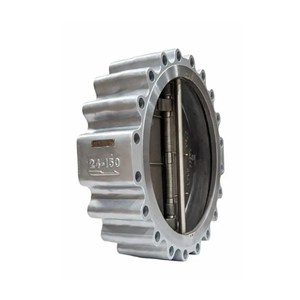 Dual Plate Lug Check Valve, API 594, ASTM A216 WCB, 24 Inch, CL150