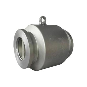 Dual Plate Swing Check Valve, API 594, A105N, 10 IN, Clamped