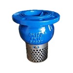Ductile Iron Foot Valve, GGG40, SS 304 Screen, DN100, PN16