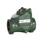 Ductile Iron Swing Check Valve, ASTM A395, 2 Inch, 2000 PSI