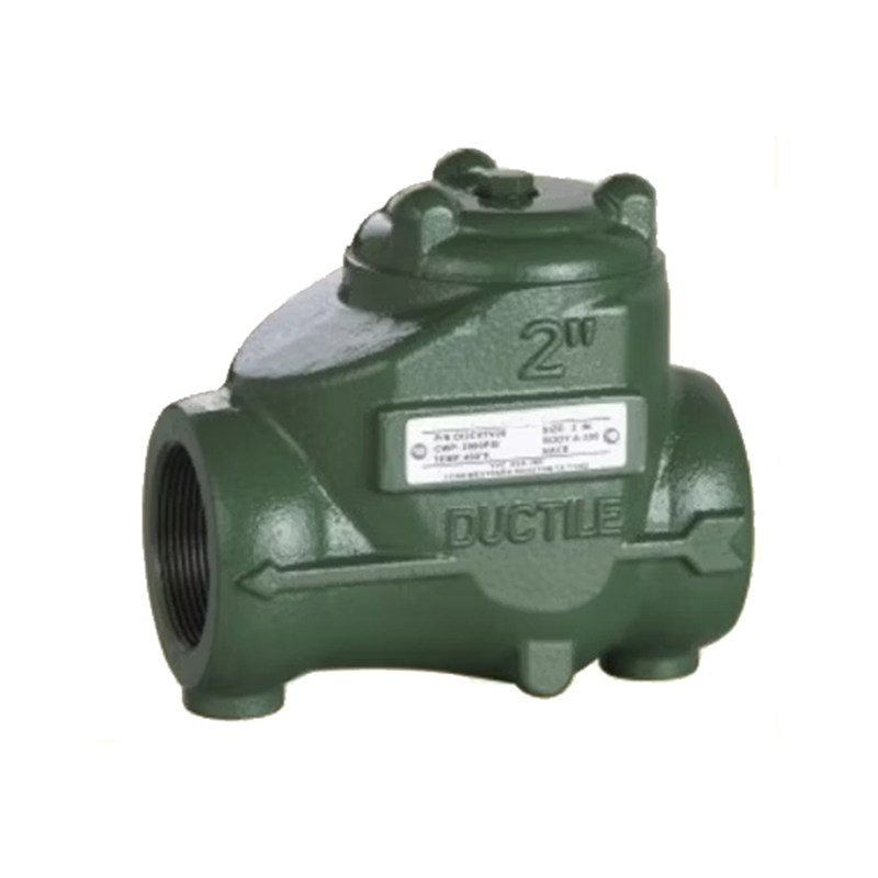Ductile Iron Swing Check Valve, ASTM A395, 2 Inch, 2000 PSI