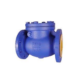 EN 1.0619 Check Valve, DIN 3356, Carbon Steel, DN90, PN16