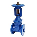 EN 1.0619 Globe Valve, DIN 3356, DN50, PN40, Bellows Sealed