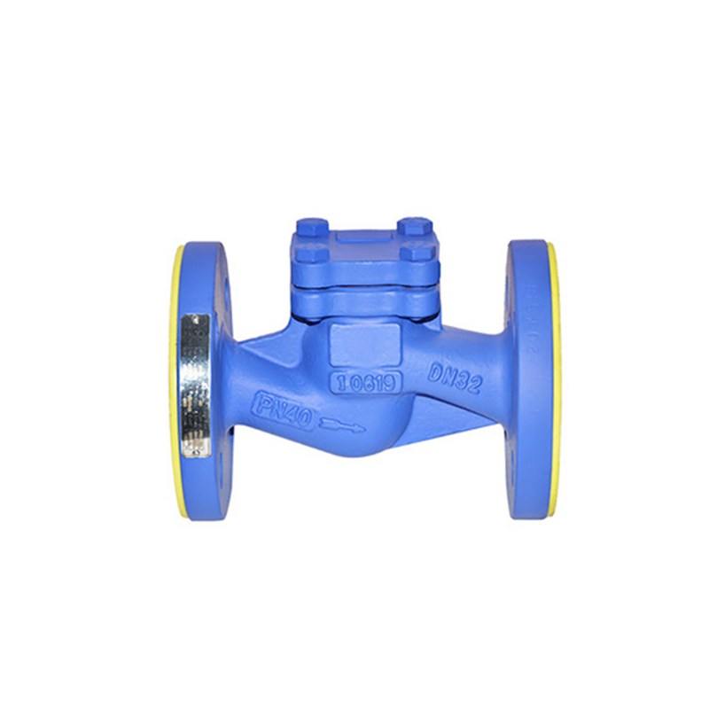 EN 1.0619 Lift Check Valve, DIN 3356, DN32, PN40