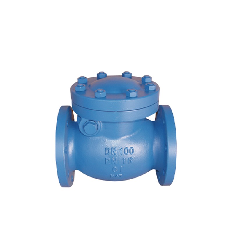 EN 1.0619 Swing Check Valve, DIN 3356, DN100, PN16, RF Ends