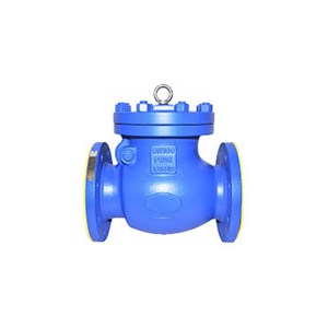 EN 1.0619 Swing Check Valves, DIN 3356, DN100, PN16, 4 Inch
