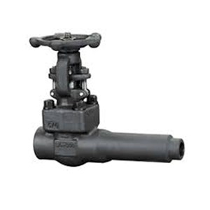 Extended Body Gate Valve, API 602, ASTM A105N, 1 Inch, CL800