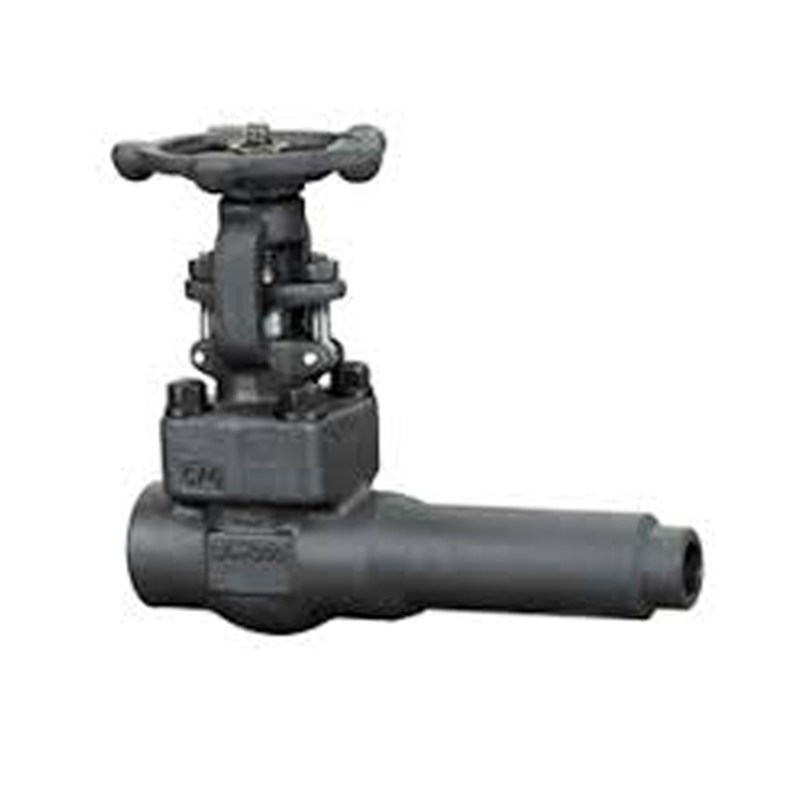 Extended Body Gate Valve, API 602, ASTM A105N, 1 Inch, CL800