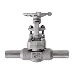 Extended Body Gate Valves, API 602, A105N, 3/4 Inch, 800 LB