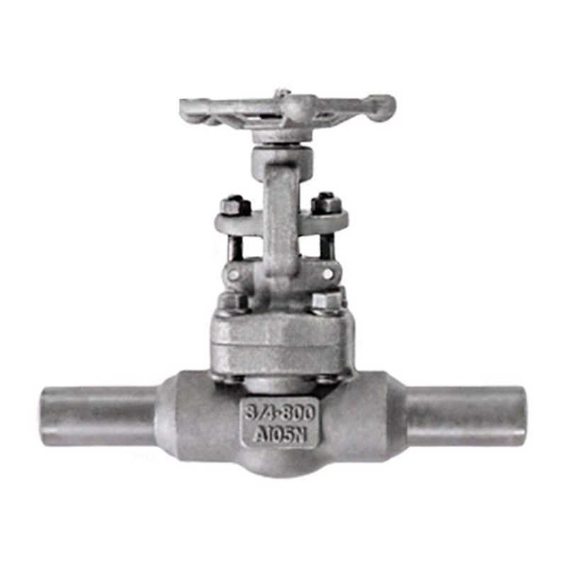 Extended Body Gate Valves, API 602, A105N, 3/4 Inch, 800 LB
