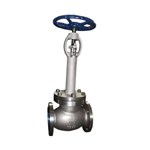 Extended Bonnet Globe Valves, ASME B16.34, CF8, 6 IN, 150 LB