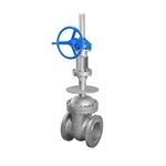 Extended Stem Gate Valve, ASTM A351 CF3M, 12 Inch, CL300, RF