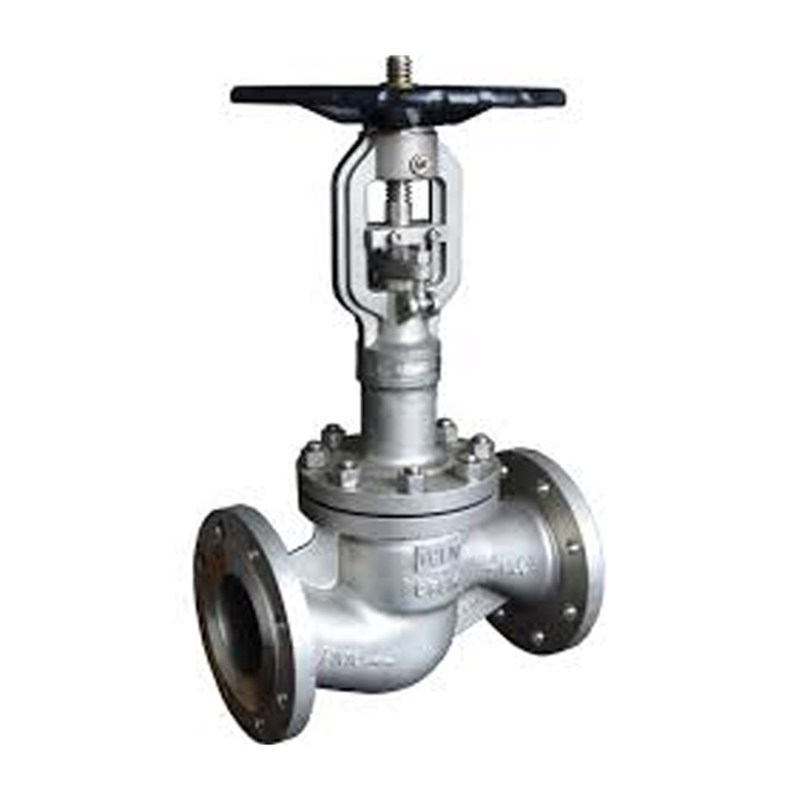 Extended Stem Globe Valve, DIN 3356, A351 CF8M, DN100, PN16
