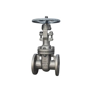 Flexible Wedge Gate Valve, API 600, A494 M35-1, 2 IN, 150 LB
