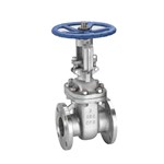 Flexible Wedge Gate Valves, API 600, A351 CF8, 3 IN, CL150