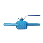 Floating Ball Valve with Nipples, A182 F316, 1/2 Inch, CL800