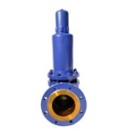 Fluorine Lined Safety Valve, API 526, A216 WCB, DN50 x DN80