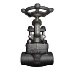 Forged ASTM A105N Globe Valve, API 602, 3/4 IN, CL800, SW Ends