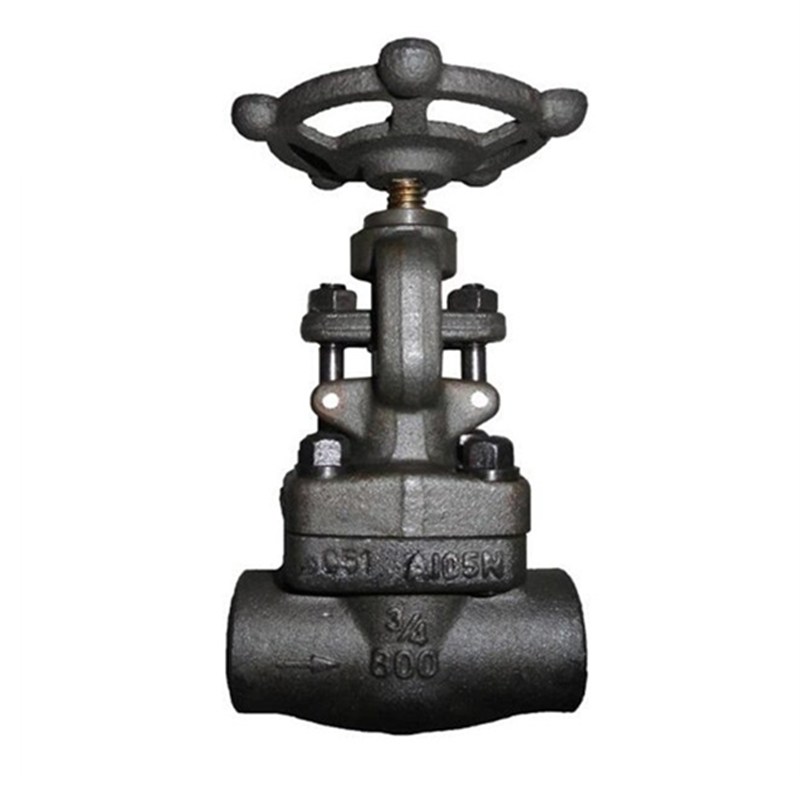 Forged ASTM A105N Globe Valve, API 602, 3/4 IN, CL800, SW Ends