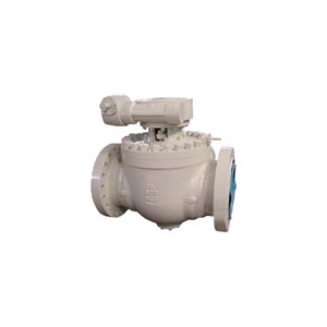 Full Bore Top Entry Ball Valve, API 6D, WCB, 16 Inch, 900 LB