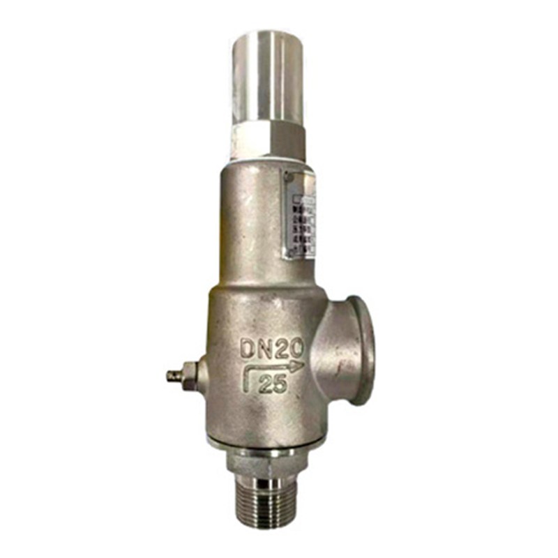 Full Lift Safety Valves, API 526, ASTM A351 CF8, DN20, PN25