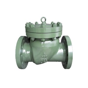 Full Opening Check Valve, BS 1868, A216 WCB, 6 IN, CL300, RF