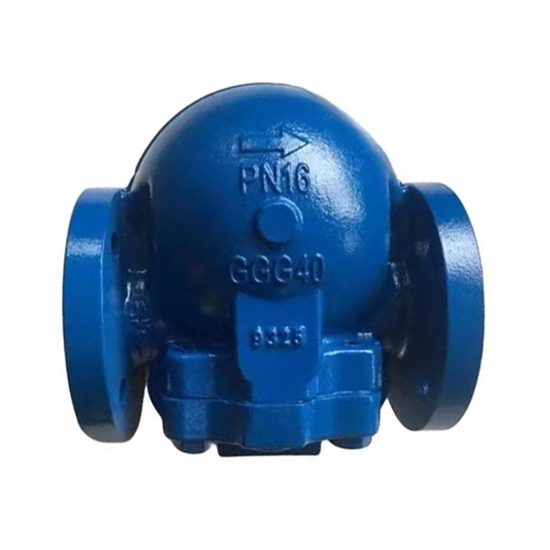 GGG40 Ball Float Steam Trap, EN 26704, DN25, PN16, RF End