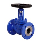 GS-C25 Bellows Sealed Globe Valve, DIN 3356, DN50, PN16, RF