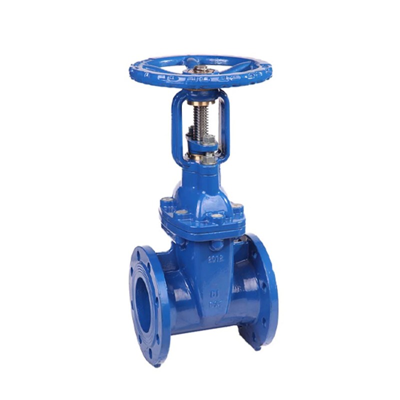 GS-C25 Gate Valve, DIN 3352 F4, DN80, PN16, Rising Stem, RF