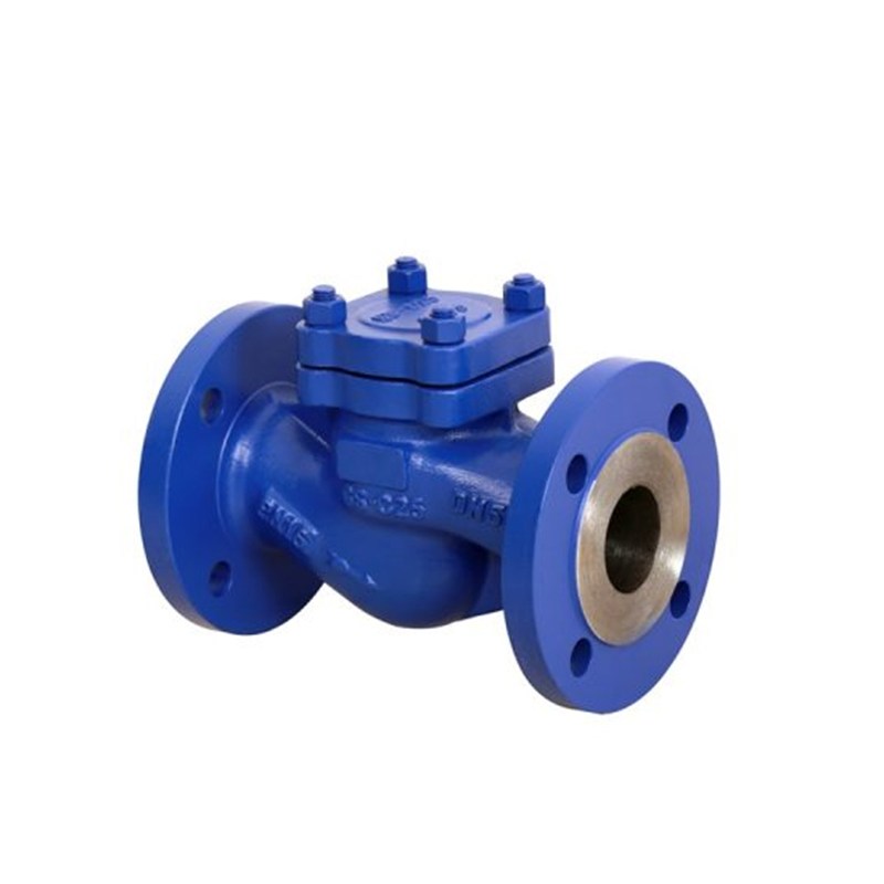 GS-C25 Lift Check Valve, DIN 3356, Carbon Steel, DN50, PN16