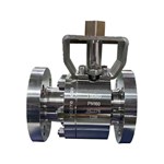 HC276 Floating Ball Valve, Hastelloy C276, DN50, PN160