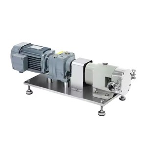 High-Performance Rotary Lobe Pump, SS 316L, 90 m3/h, 15 Bar