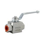 Hydraulic Ball Valve, ASME B16.34, SS 316L, DN10, PN500, BSP