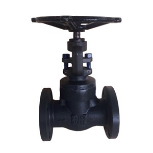 Integral Flanged Gate Valve, API 602, A105N, 2 Inch, 150 LB
