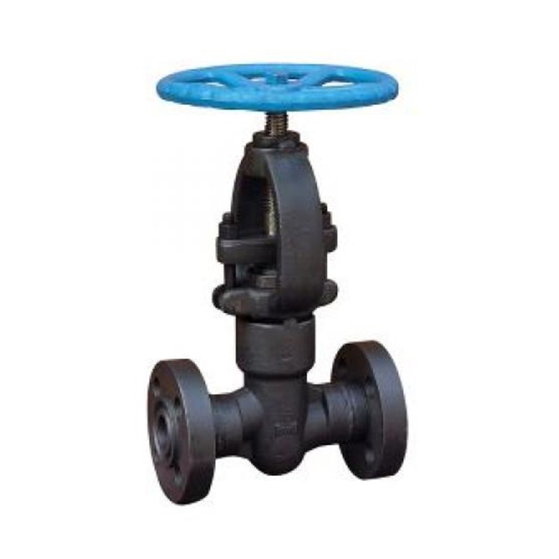 Integral Flanged Globe Valve, API 602, A105N, 3/4 IN, CL2500