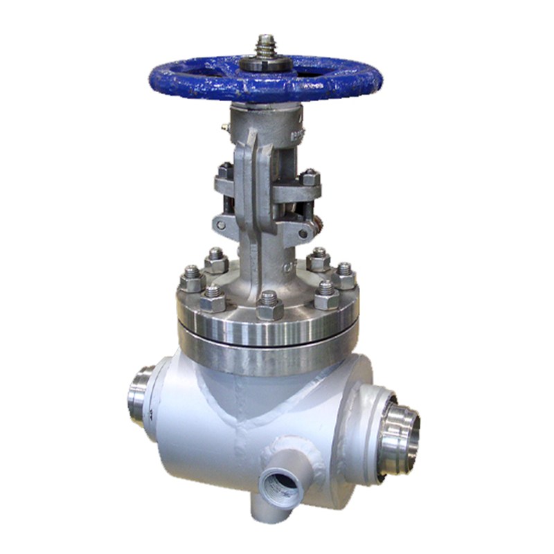 Jacketed Gate Valve, API 600, ASTM A351 CF8, 3 IN, CL300, BW