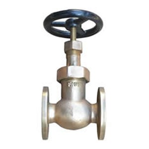 JIS 7346 Globe Valve, Cast Bronze BC6, 25A, 5K, 1 Inch, FF