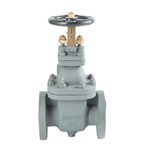 JIS F7364 Marine Gate Valve, Cast Iron, F200, 16K, 50A, 2 IN