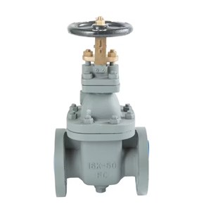 JIS F7364 Marine Gate Valve, Cast Iron, F200, 16K, 50A, 2 IN