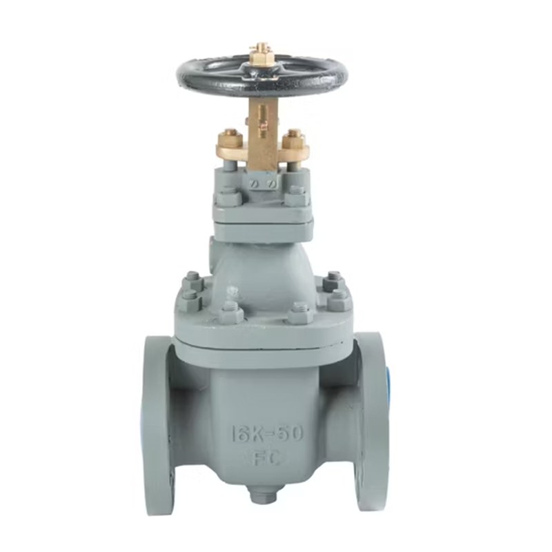 JIS F7364 Marine Gate Valve, Cast Iron, F200, 16K, 50A, 2 IN