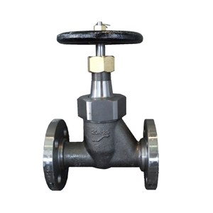 JIS F7421 Marine Globe Valve, SF440, S25C, 20K, 25A, Flanged