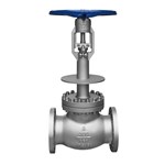 Low Temperature Globe Valve, BS 1873, A351 CF8, 8 IN, CL300