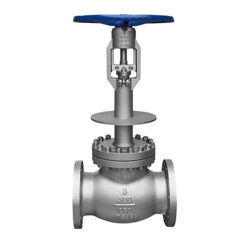 Low Temperature Globe Valve, BS 1873, A351 CF8, 8 IN, CL300