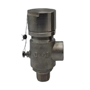 Low-temperature Safety Valve, A351 CF8, DN20, PN16, 1 Inch