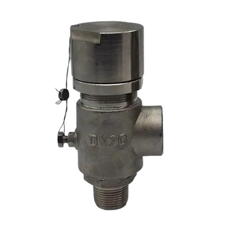 Low-temperature Safety Valve, A351 CF8, DN20, PN16, 1 Inch