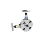 Monoflange SBB Valve, Stainless Steel SS 316L, CL300, RF+FNPT