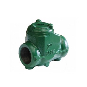 NACE MR0175 Check Valve, Ductile Iron, 2 Inch, 2000 PSI, FP