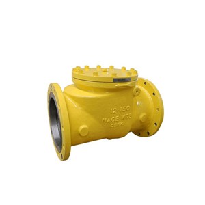 NACE MR0175 Swing Check Valve, API 6D, A216 WCB, 12 Inch, CL150, RF