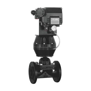 Pneumatic Diaphragm Control Valve, CS, DI, SS, 3/4-16 Inches