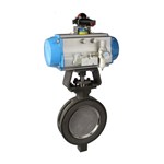 Pneumatic High Performance Butterfly Valve, WCB, 4 IN, CL150
